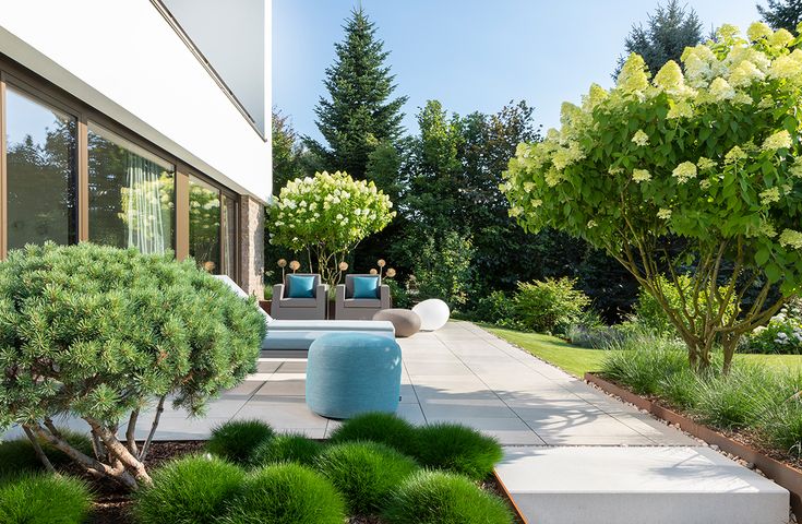 garden